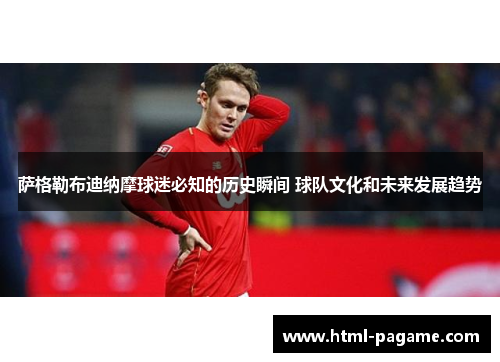 萨格勒布迪纳摩球迷必知的历史瞬间 球队文化和未来发展趋势